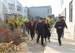 ����ľ��   ���h����